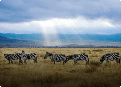 Africa