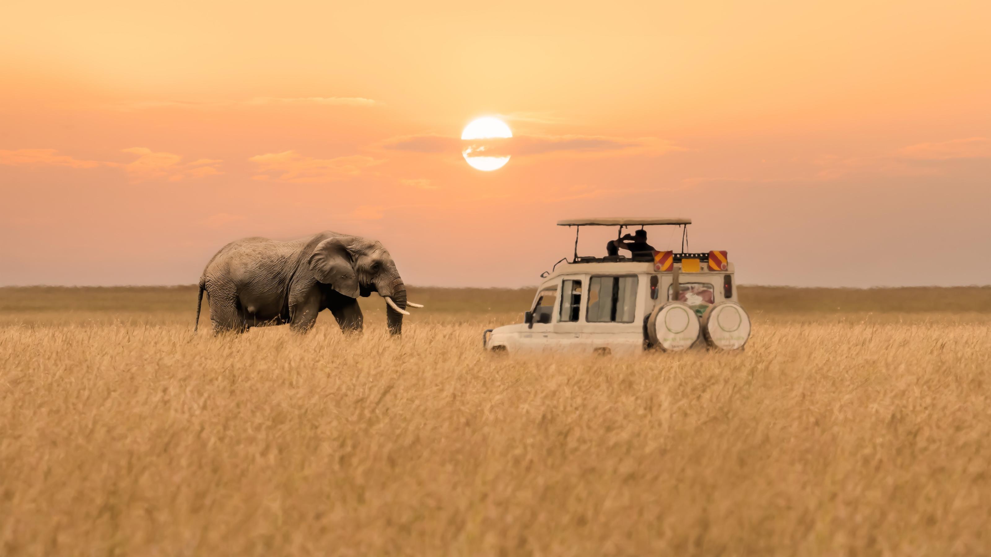 Trip Itineraries to Africa