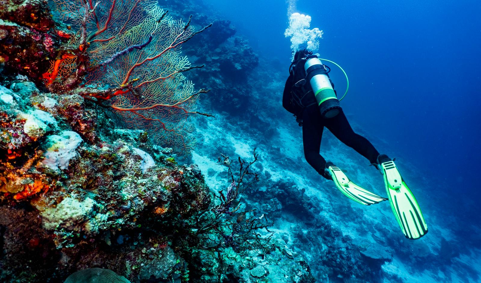 Trip Itineraries to Australia