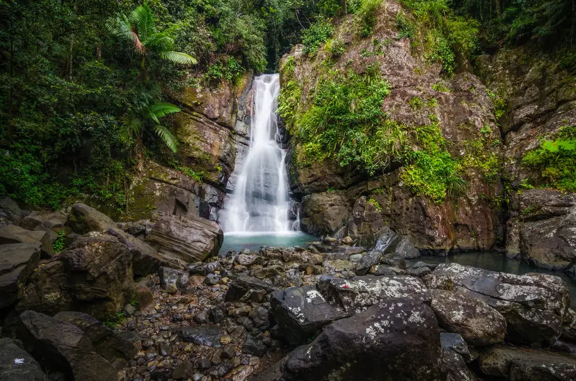 3-day Rainforest Getaway 3-day Rainforest Getaway