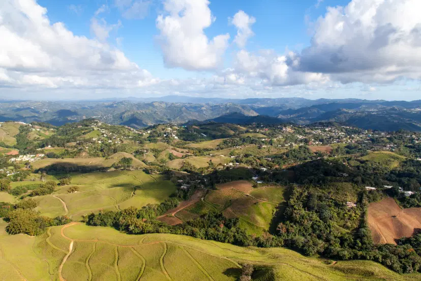 4-day Coffee Country Tour 4-day Coffee Country Tour